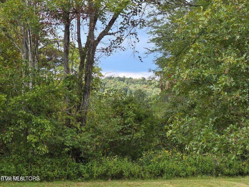 Photo #50: 197 Wolfe Road