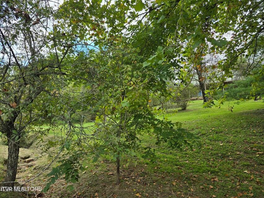 Photo #59: 197 Wolfe Road