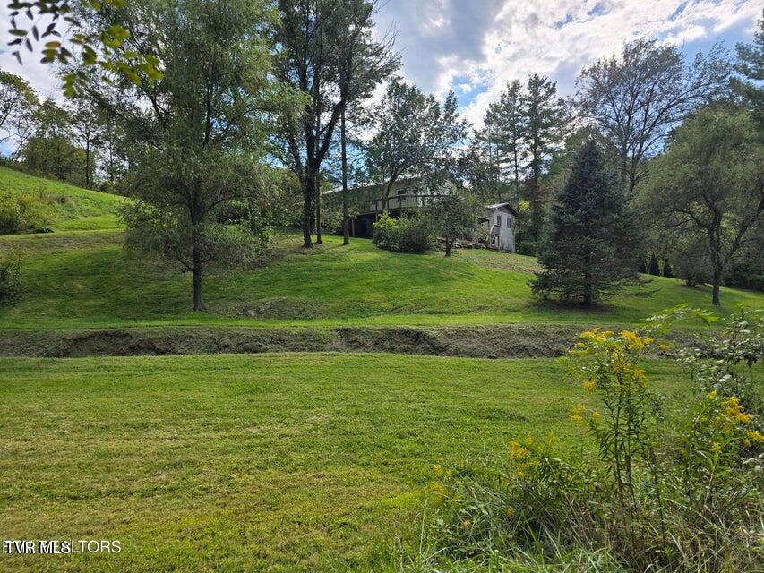 Photo #60: 197 Wolfe Road