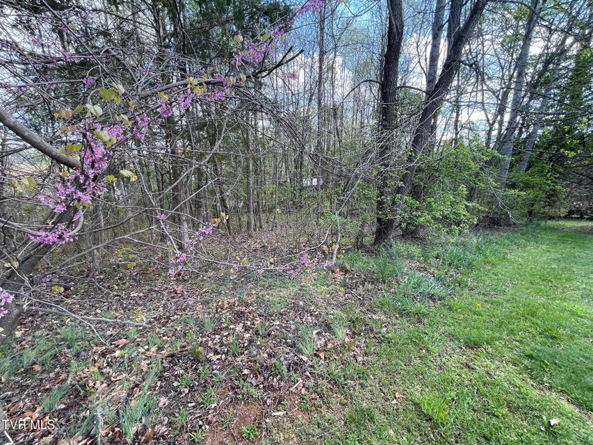 Photo #4: 354 Glasgow Lane