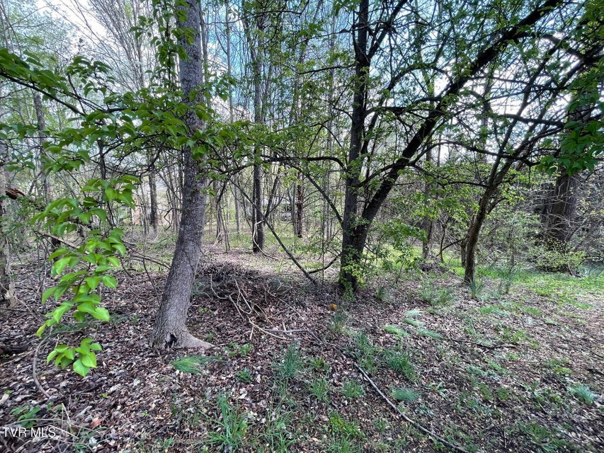 Photo #5: 354 Glasgow Lane