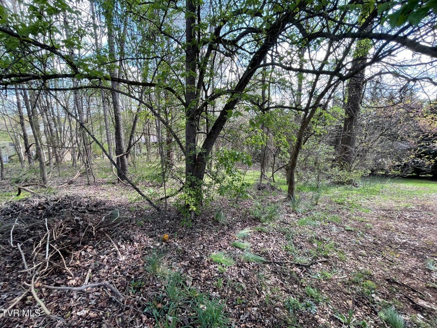 Photo #6: 354 Glasgow Lane