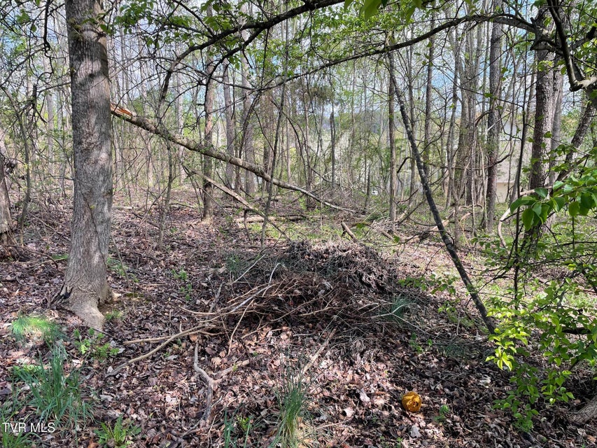 Photo #7: 354 Glasgow Lane