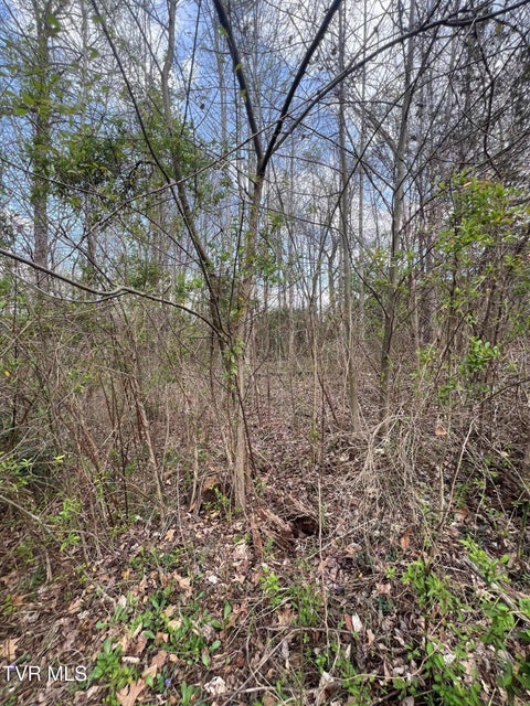 Photo #11: 354 Glasgow Lane