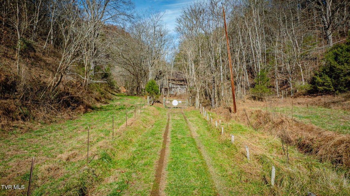 Photo #3: 1499 Keesel Hollow Road
