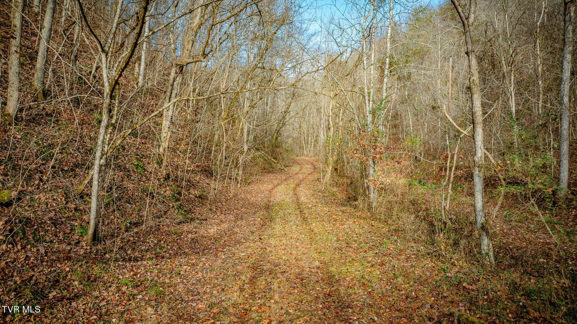 Photo #4: 1499 Keesel Hollow Road