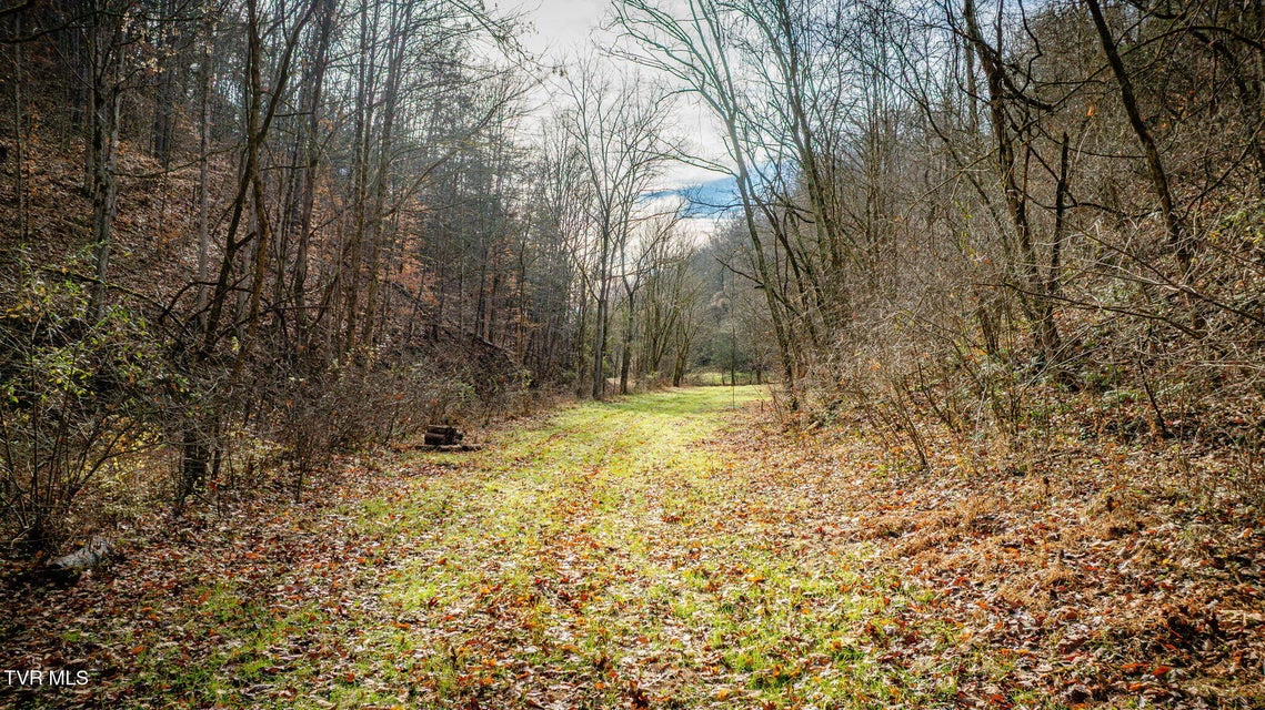 Photo #8: 1499 Keesel Hollow Road