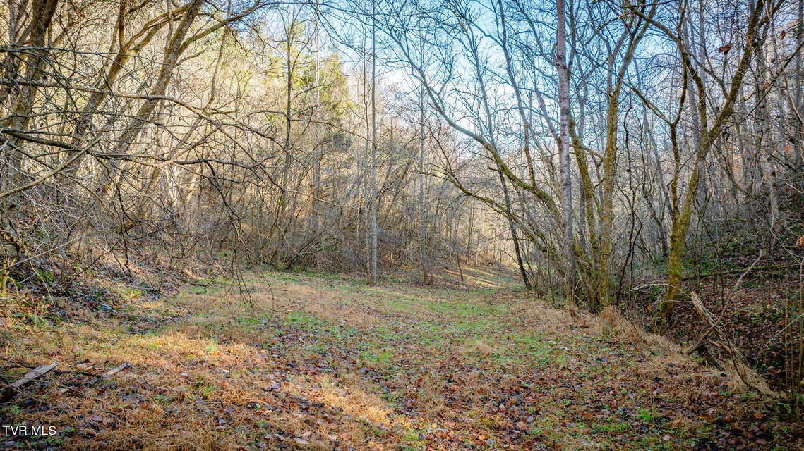 Photo #9: 1499 Keesel Hollow Road