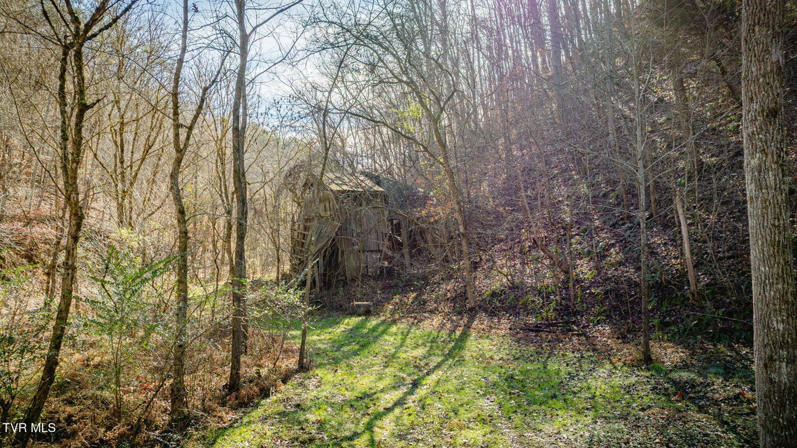 Photo #11: 1499 Keesel Hollow Road