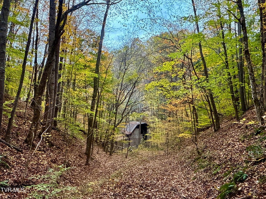 Photo #13: 1499 Keesel Hollow Road