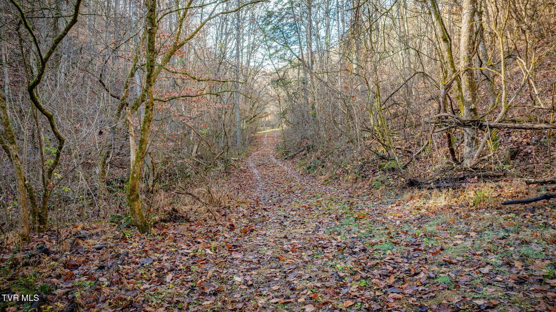 Photo #14: 1499 Keesel Hollow Road