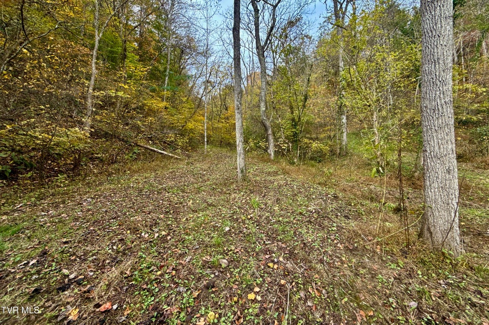 Photo #15: 1499 Keesel Hollow Road