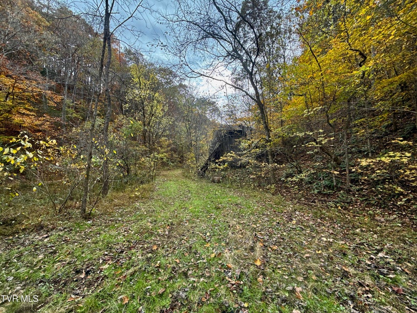 Photo #16: 1499 Keesel Hollow Road