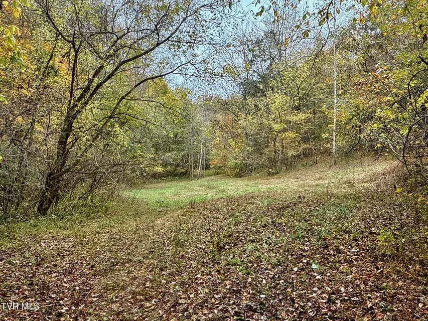 Photo #17: 1499 Keesel Hollow Road