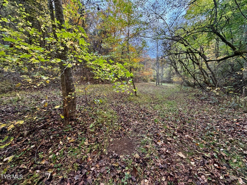 Photo #18: 1499 Keesel Hollow Road