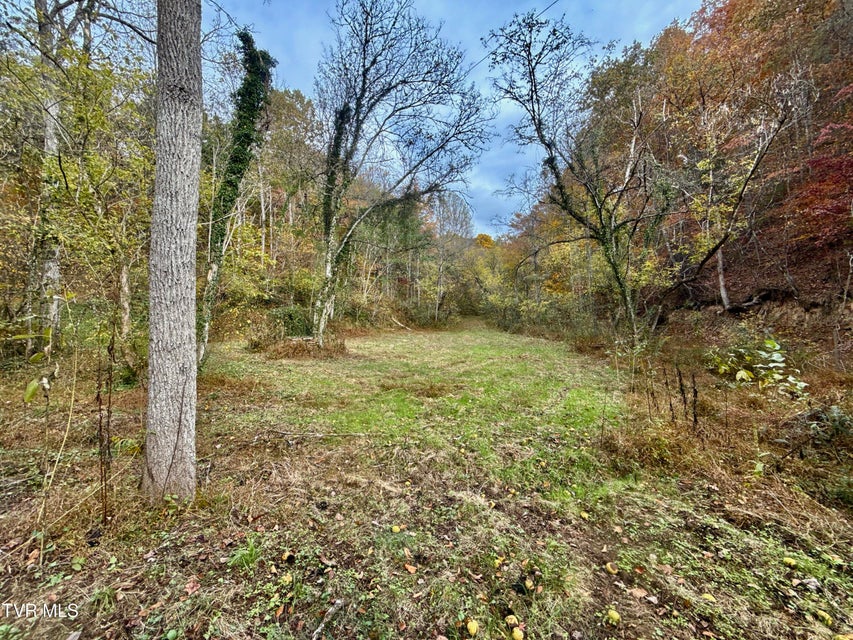 Photo #19: 1499 Keesel Hollow Road