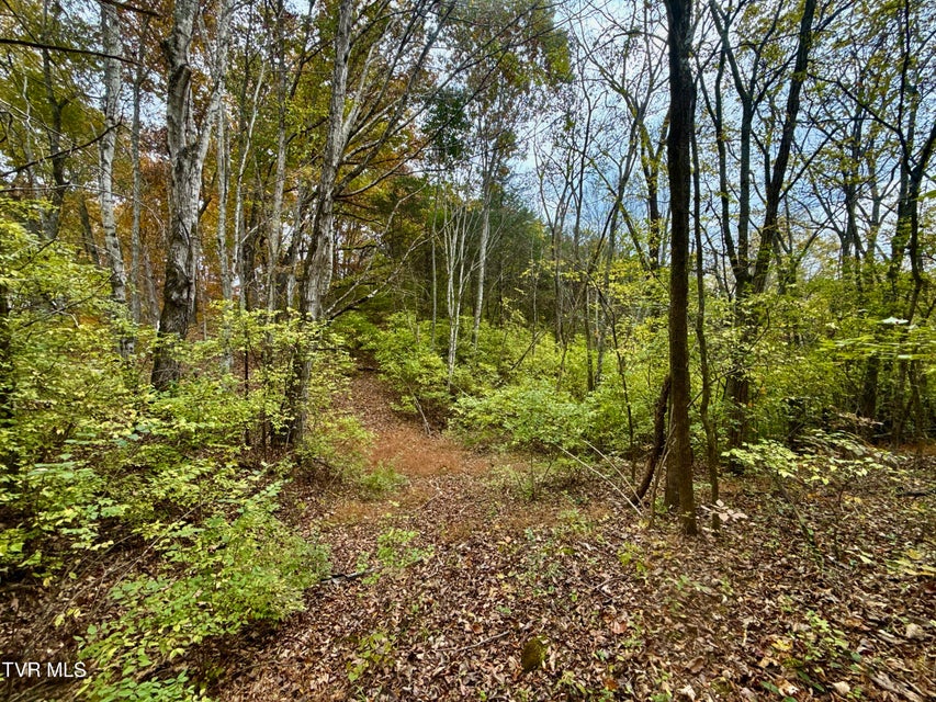 Photo #25: 1499 Keesel Hollow Road