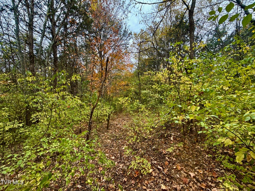 Photo #26: 1499 Keesel Hollow Road