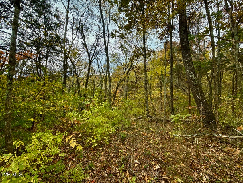 Photo #28: 1499 Keesel Hollow Road