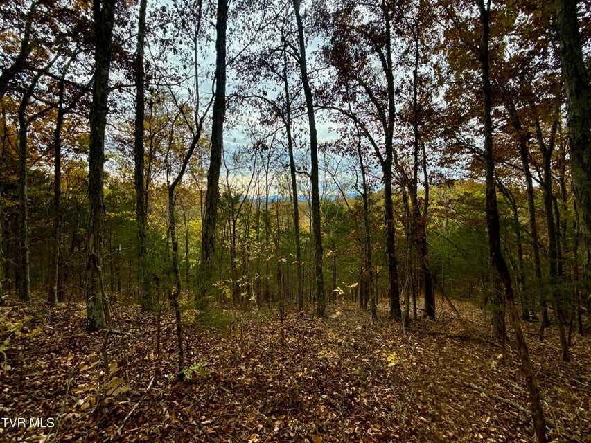 Photo #29: 1499 Keesel Hollow Road