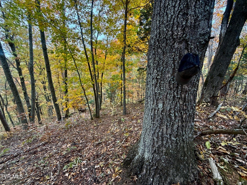 Photo #30: 1499 Keesel Hollow Road