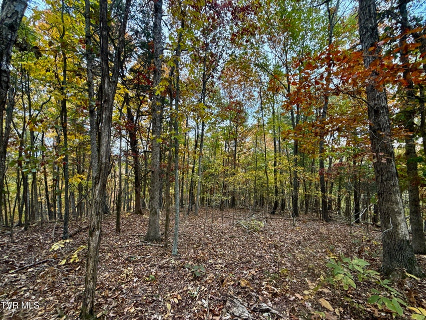 Photo #35: 1499 Keesel Hollow Road