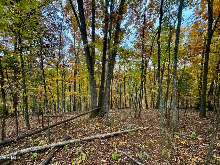 Photo #36: 1499 Keesel Hollow Road