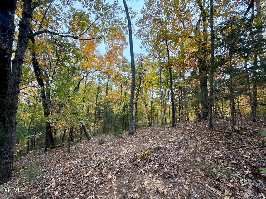 Photo #38: 1499 Keesel Hollow Road