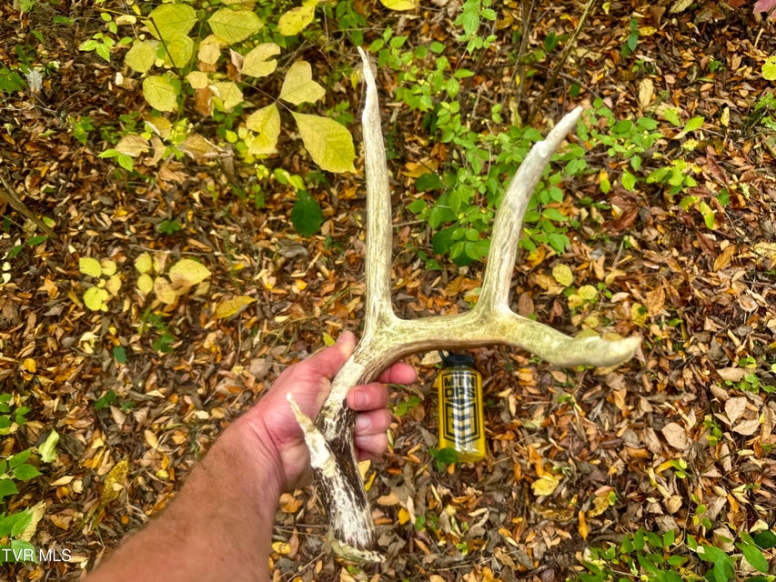 Photo #41: 1499 Keesel Hollow Road