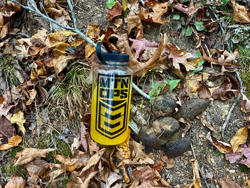 Photo #42: 1499 Keesel Hollow Road