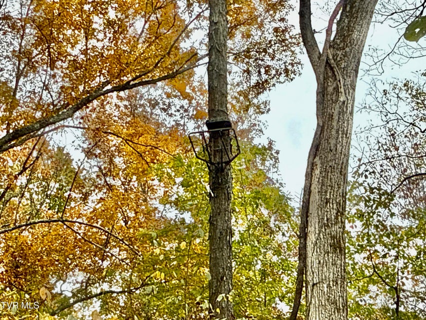 Photo #44: 1499 Keesel Hollow Road