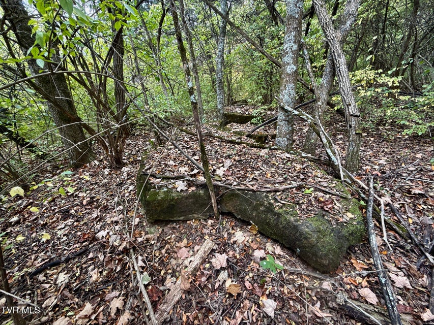 Photo #47: 1499 Keesel Hollow Road