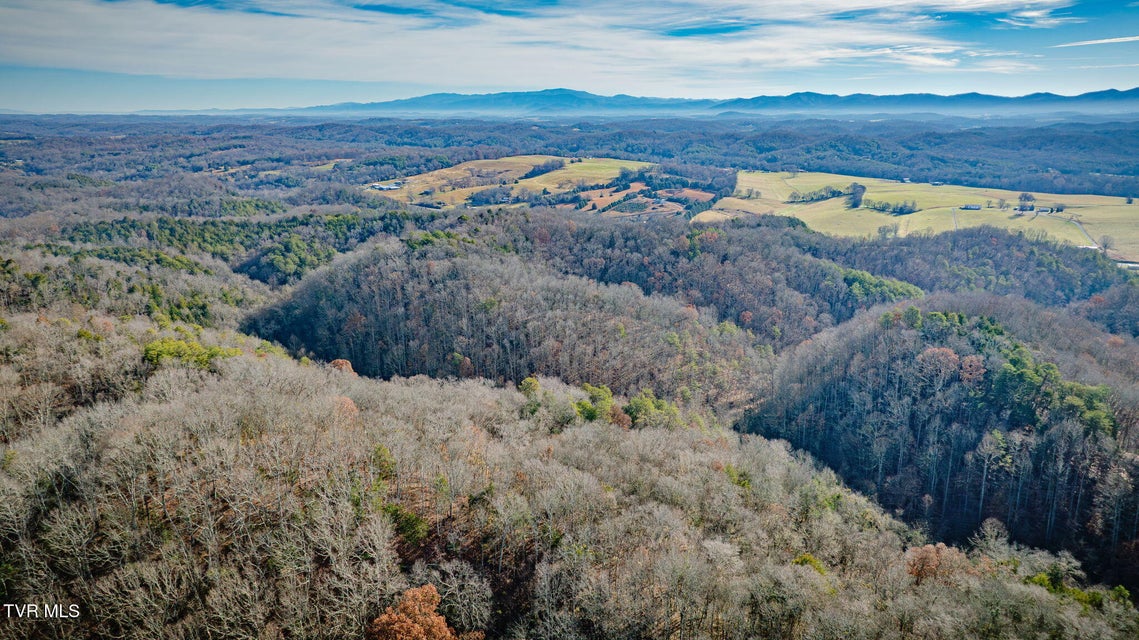 Photo #55: 1499 Keesel Hollow Road