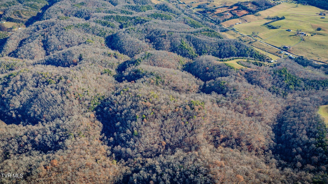 Photo #56: 1499 Keesel Hollow Road