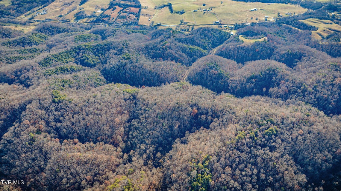 Photo #57: 1499 Keesel Hollow Road