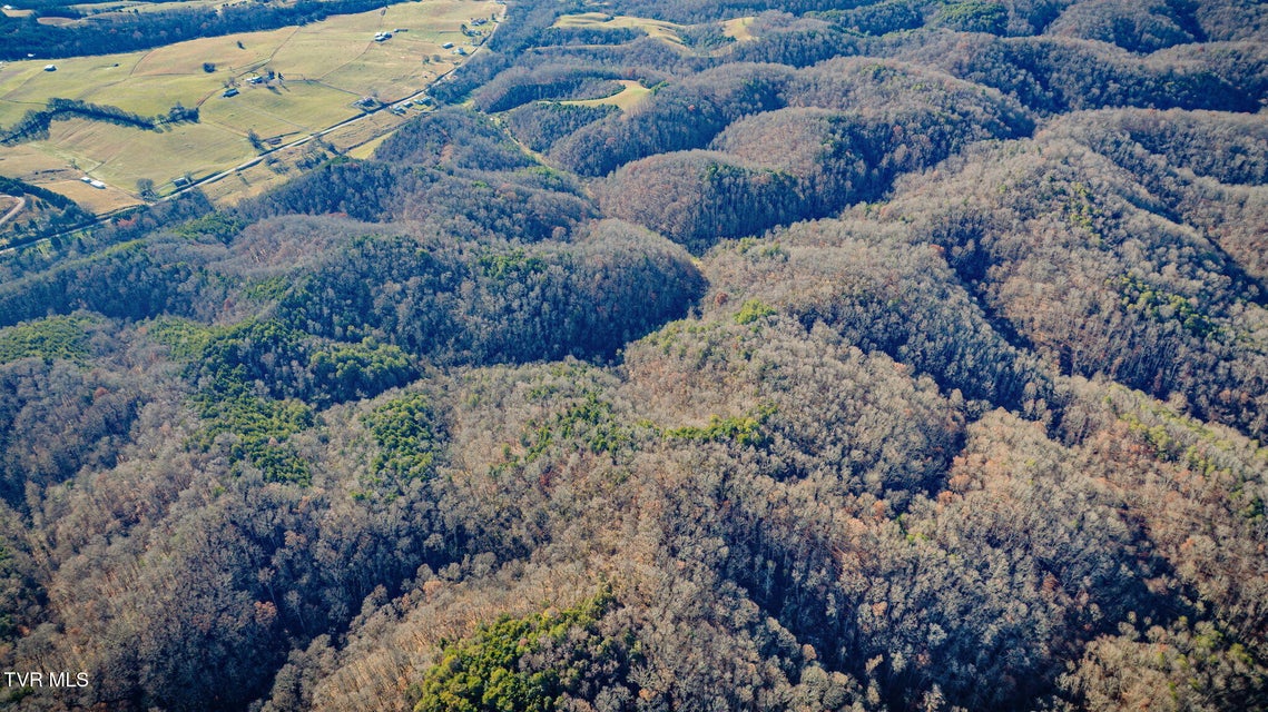 Photo #58: 1499 Keesel Hollow Road