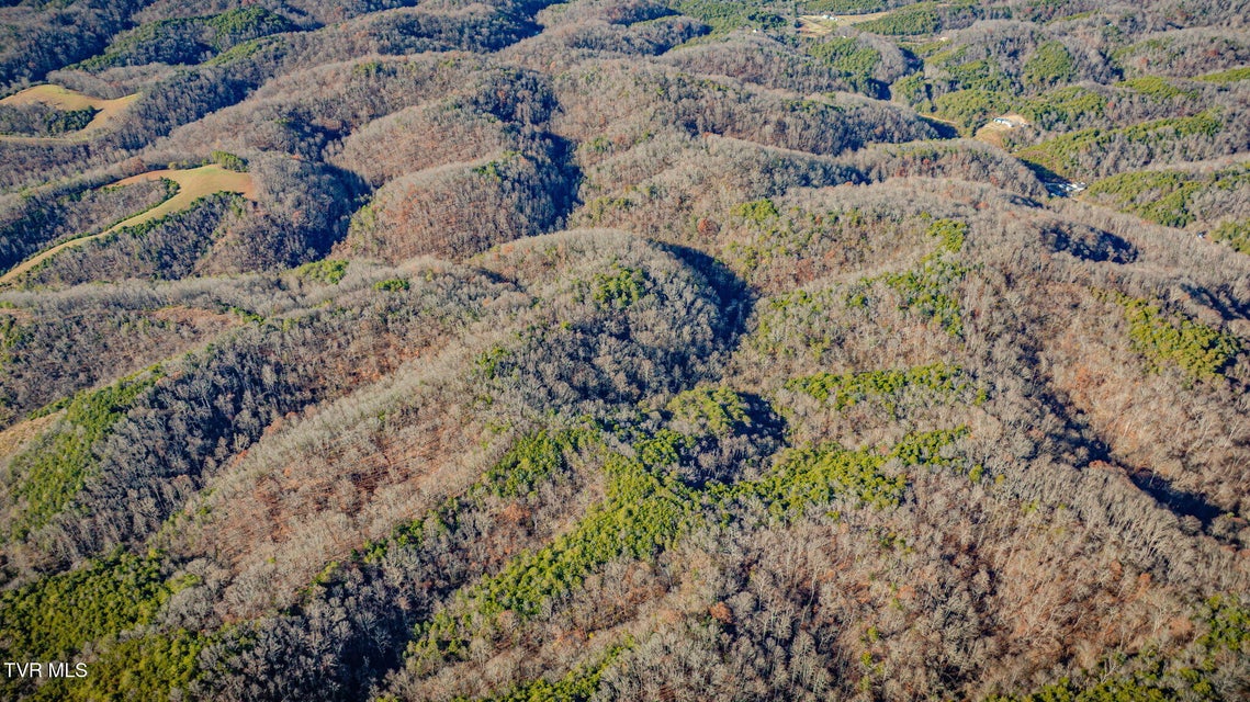 Photo #59: 1499 Keesel Hollow Road