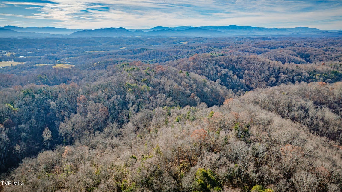 Photo #60: 1499 Keesel Hollow Road