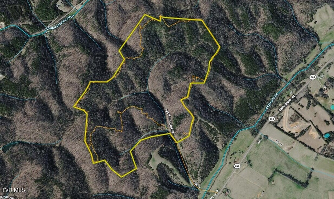 Photo #61: 1499 Keesel Hollow Road