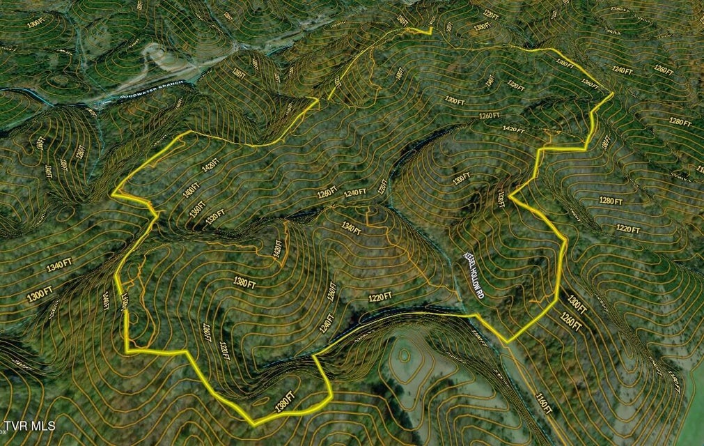 Photo #63: 1499 Keesel Hollow Road