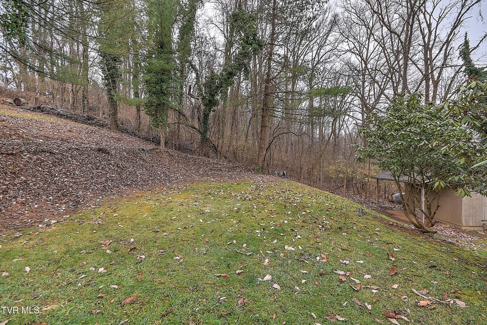 Photo #63: 331 Edgefield Road