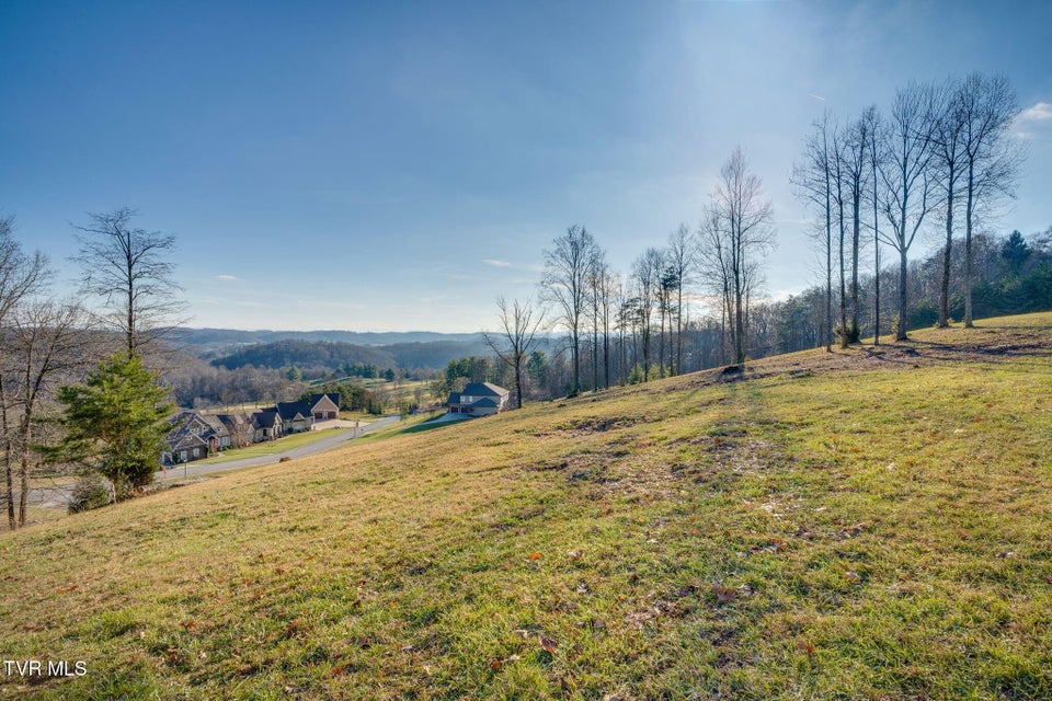 Photo #18: 1230 Ridgetop Trail
