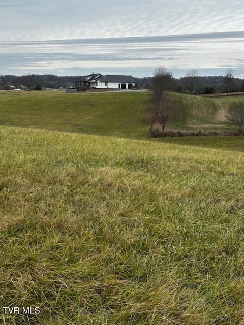 Photo #4: Tbd Bennett 