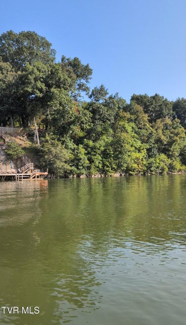 Photo #3: 1199 Austin Springs Road