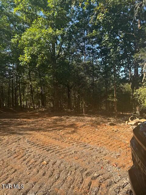 Photo #2: Tbd Buncombe Road