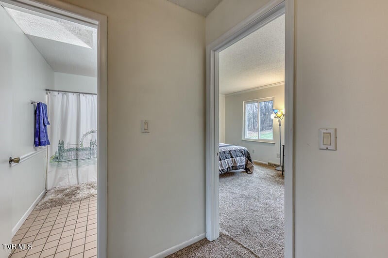 Photo #18: 102 Point Shore Pvt Drive 