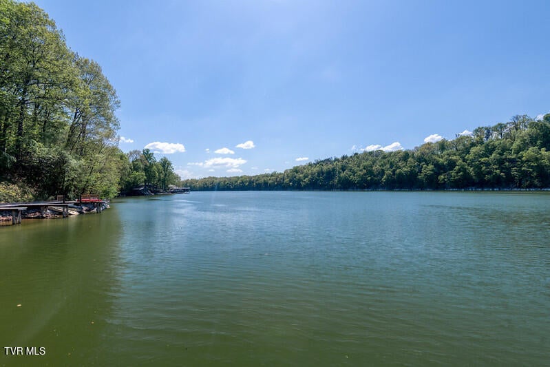 Photo #37: 102 Point Shore Pvt Drive 