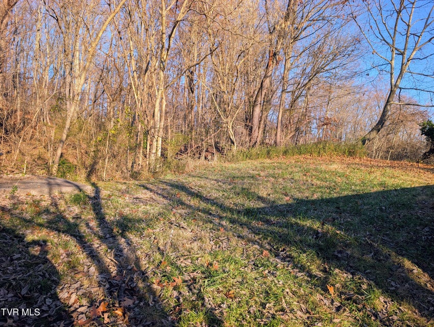 Photo #14: 233 Gravely Road