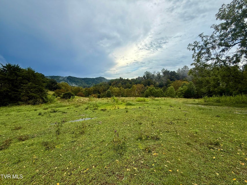 Photo #66: 2114 Powell River Rd 