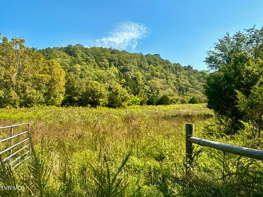 Photo #70: 2114 Powell River Rd 